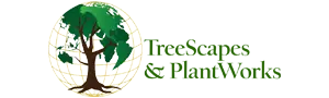 TreeScapes & PlantWorks